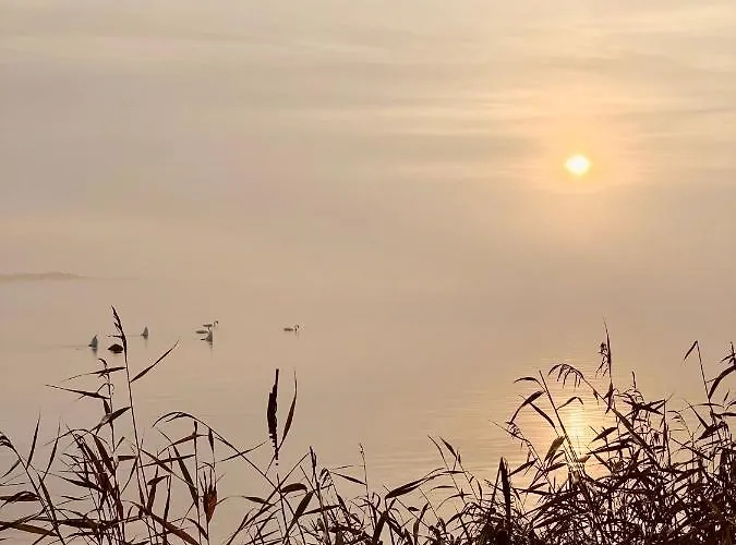 Strandby 1847 Bed and breakfast