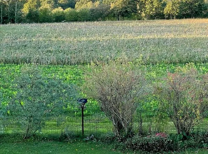 Strandby 1847 Bed and breakfast